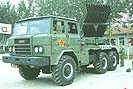   Type 81